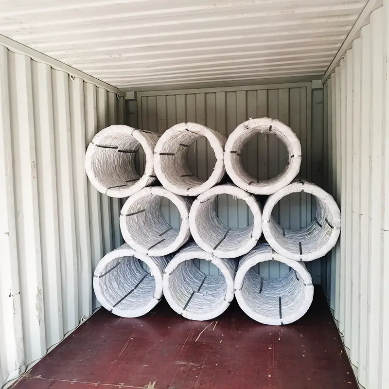 Galvanized Oval Wire